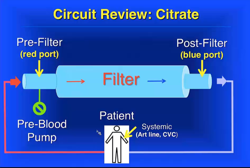 Circuit Anticoagulation and Drug Dosing on CRRT